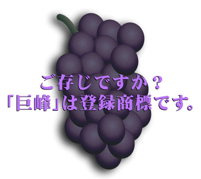 ����͓o�^���W�ł��B