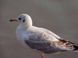 �����J����