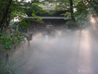 ë  photo 1