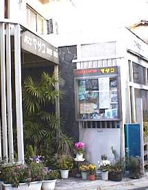 masako.jpg (11878 �o�C�g)