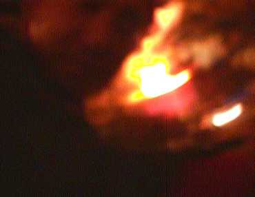 puchin.jpg (6862 �o�C�g)