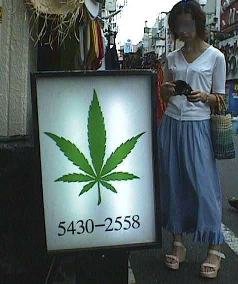 taima.jpg (30157 �o�C�g)