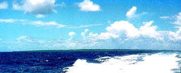 島の全景
