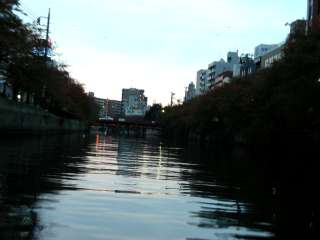 �粬�� photo 10