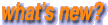 �X�V���