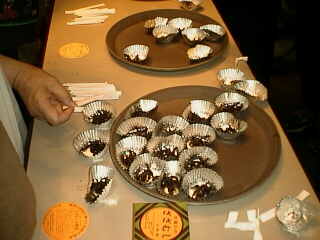 試食会(ざざむし)