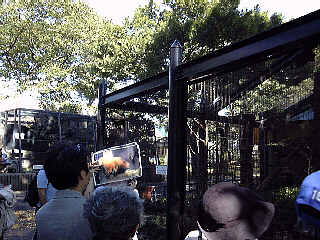 �e���̐�����