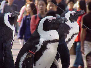 �y���M��