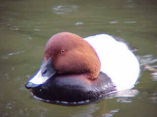 �z�V�n�W����