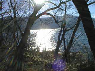 kohann.jpg
