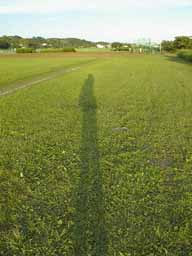 shadow.jpg