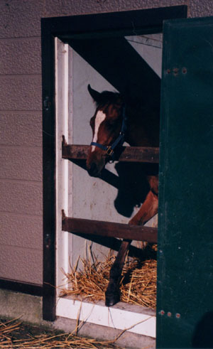 ���ƂȂ肳��