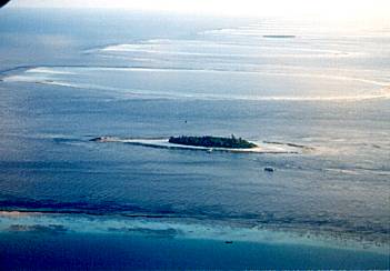 �o�^���̋�B�ʐ^