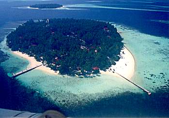 �r���h�D���r���o���̋�B�ʐ^