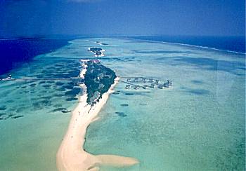 �I���x�����t�@���̋�B�ʐ^