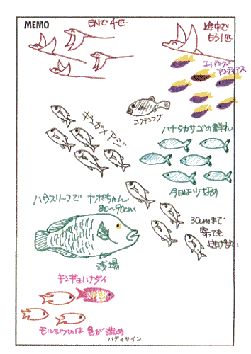 ���O�u�b�N�̉摜