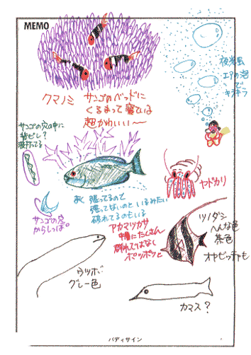 ���O�u�b�N�̉摜