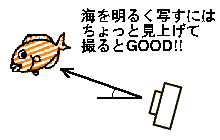 �����낵�ĎB��