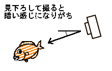 ���グ�ĎB��