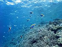 �G�_�T���S�Ƌ�