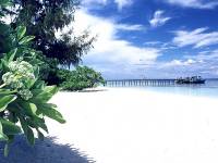 �o�^���E�k�V���t��