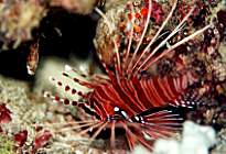 �~�m�J�T�S