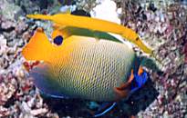 �w�����K��